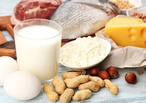 محصولات لبنی، ماهی، گوشت، آجیل و تخم مرغ - رژیم غذایی رژیم غذایی پروتئین